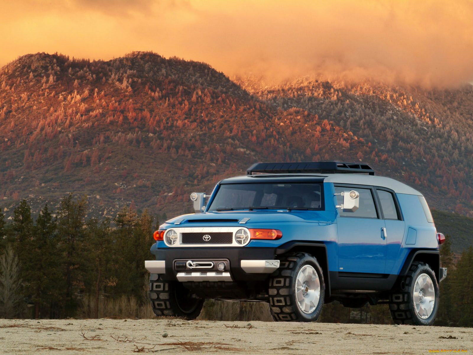 , toyota